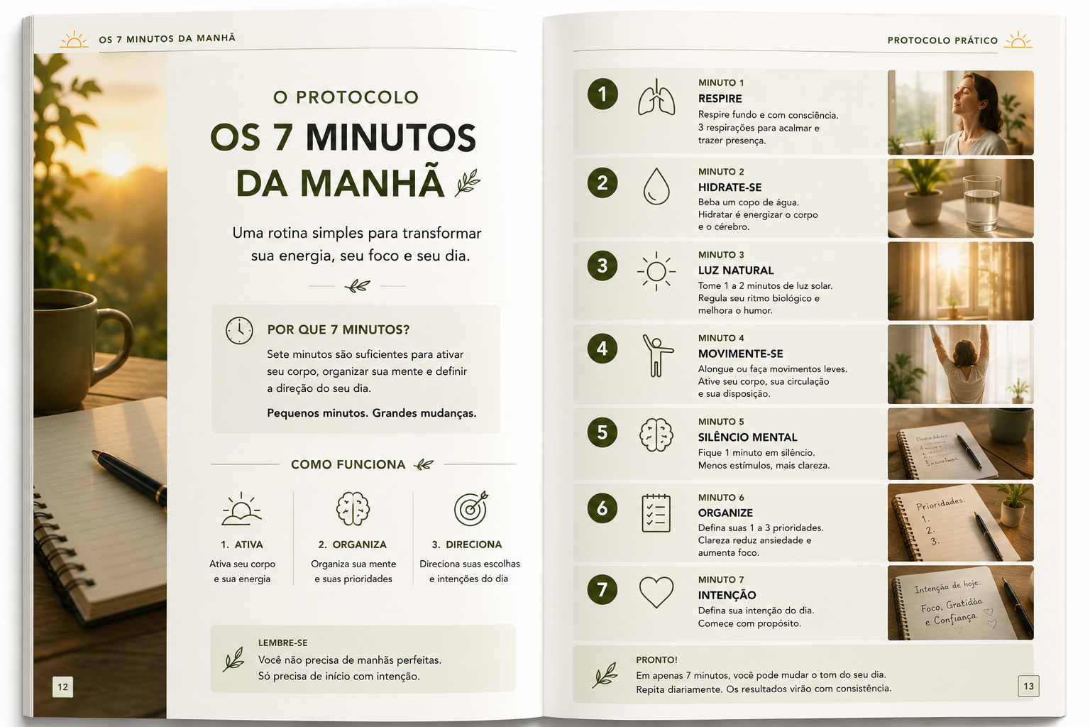 Prévia do protocolo